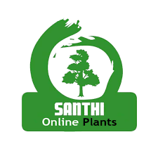 Plants Santhi Online 