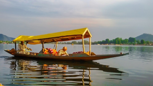 Kashmiri Zoya