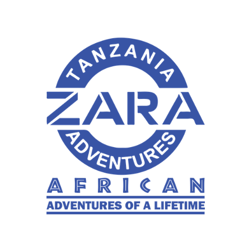 Tours Zara