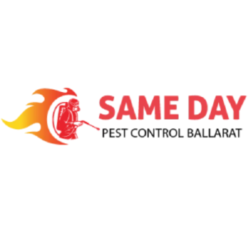  Ballarat Same Day Pest Control