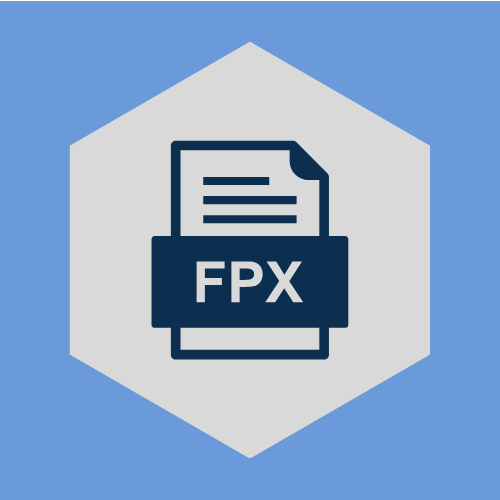 FPX Course 