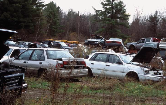 Junk Car Guy  Cash For 