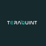 INC TeraQuint 