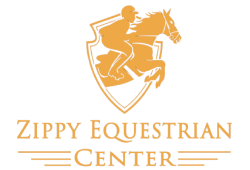 zippy equestrian