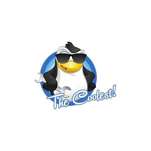 LLC The Coolest 