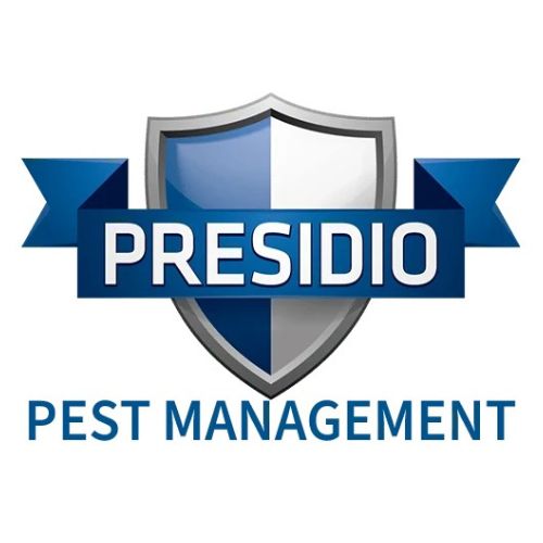 Management Presidio Pest 