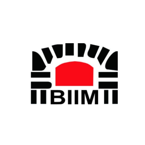 Enterprises BM