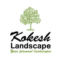 Landscape Kokesh