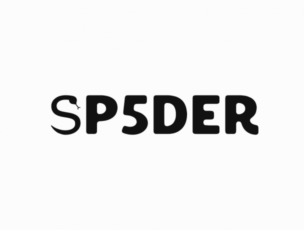 web hoodie sp5der 