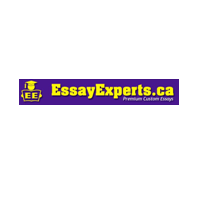 Experts Essay