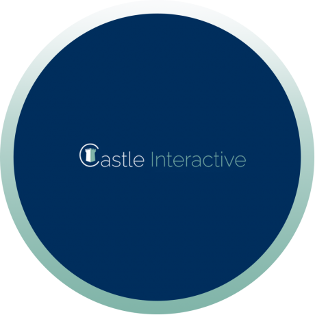 Interactive Castle