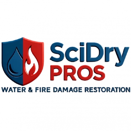 Pros Scidry