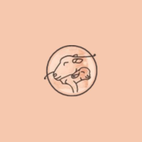 Soul Comfort Sheepskin