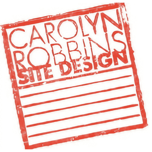 Robbins Carolyn 