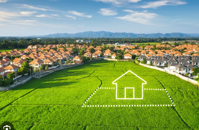 Real estate Reeltor