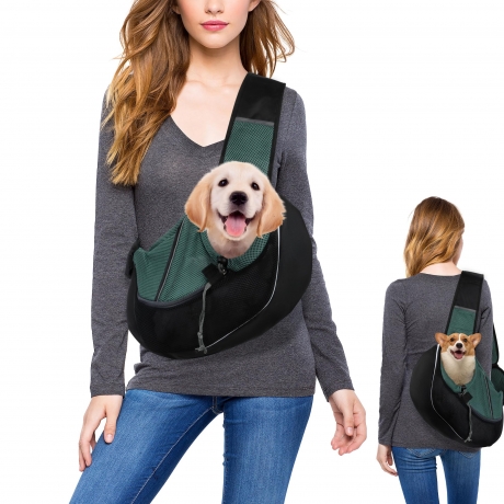 carrier front puppy 