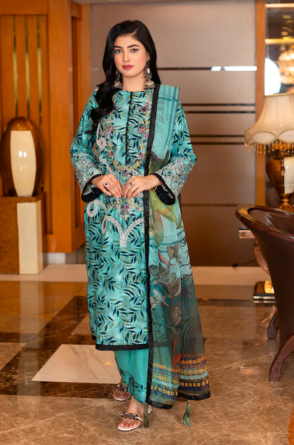 Plus Size Dresses Pakistani 