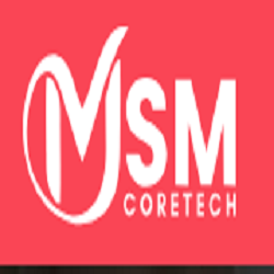  Core Tech MSM
