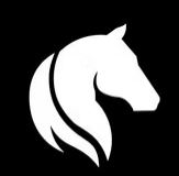 Horse High