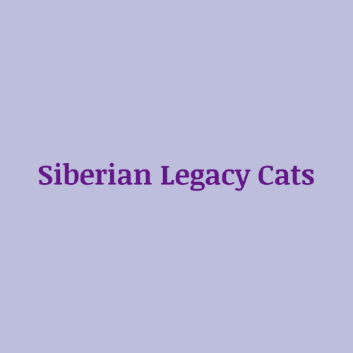Cats Siberian Legacy