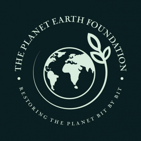 Foundation The Planet Earth