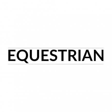 Equipment Equestrian Horse