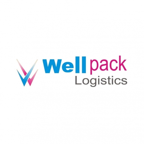 Packers And Movers Well Pack Logistics
