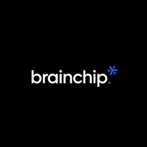 Chip Brain