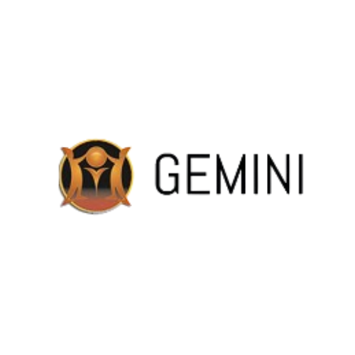  Gemini Kringloop