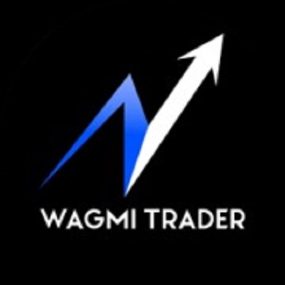  LLC WagmiTrader