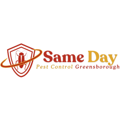 Same Day Pest Control  Greensborough