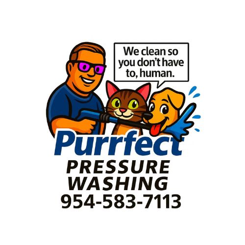Washing LLC Purrfect Pressure