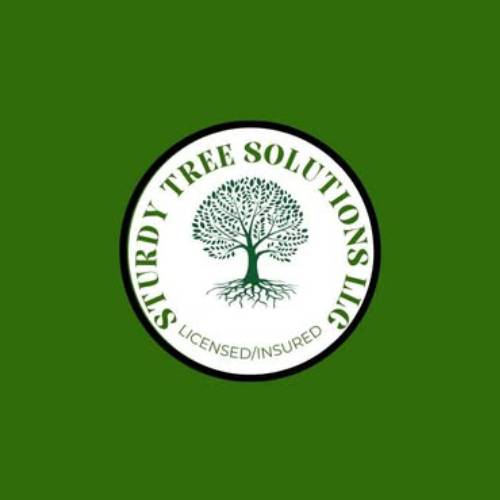 Sturdy Tree Solutions LLC