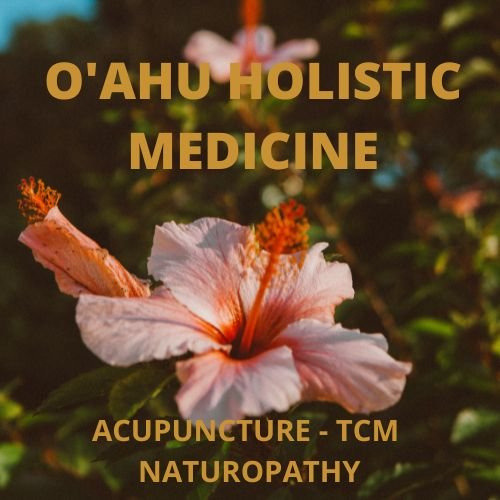 Holistic Medicine Oahu 