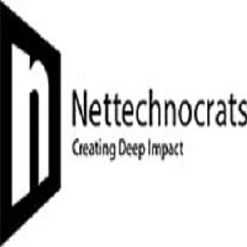 IT Services PVT LTD Nettechnocrats