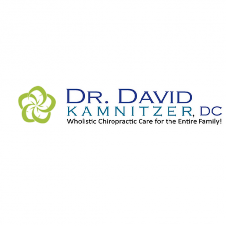 Kamnitzer David