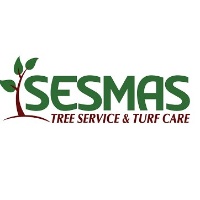 Service LLC Sesmas Tree