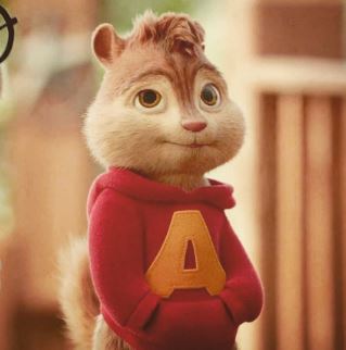 percy Alvin 