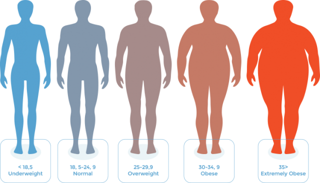 Chart BMI 