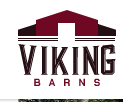 Barns Viking 