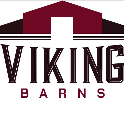 Barns Viking 