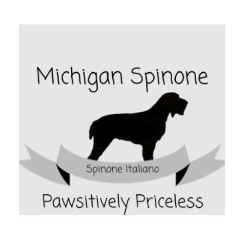 Spinone Michigan