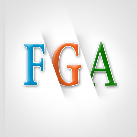 fga24 digital