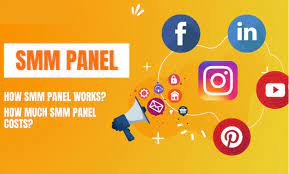 Panel SMM