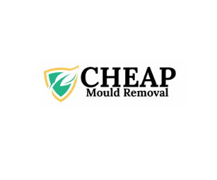 Mould Removal Cheap 