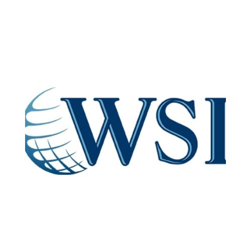 wsi WSI Smart Marketing