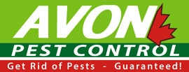 avon222 pestcontrol 