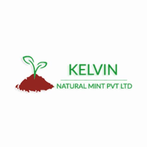 Mint  Kelvin Natural 