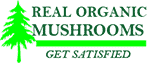 Shrooms Real Organic