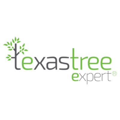 Expert Texas Tree